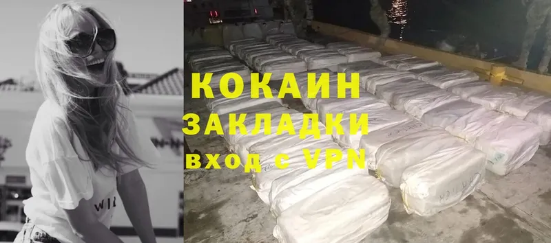 Cocaine FishScale  гидра как зайти  Лесосибирск 